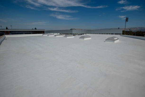 Best Flat Roofing  in USA